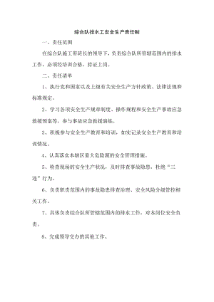 综合队排水工安全生产责任制.docx