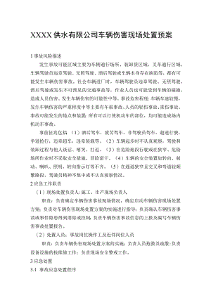 供水有限公司车辆伤害现场处置预案.docx