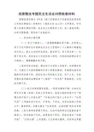 副局长巡察整改专题民主生活会个人对照检查3200字.docx
