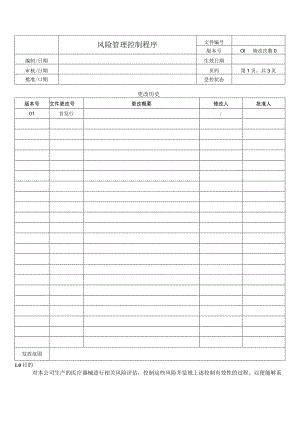 风险管理控制程序.docx
