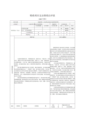 财政项目支出绩效自评表.docx