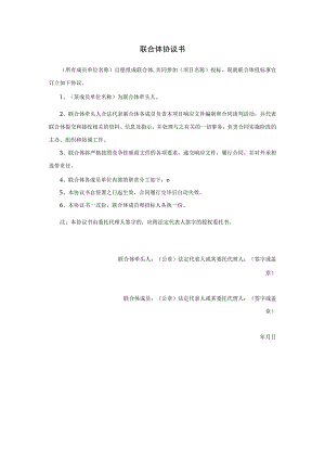 联合体协议书.docx