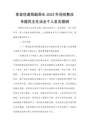 某县住建局副局长2023年巡视整改专题民主生活会个人发言提纲.docx