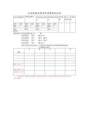 公司财务业务员信用等级评定表.docx