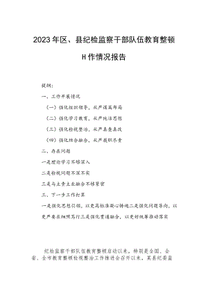 2023年区、县纪检监察干部队伍教育整顿工作情况报告.docx