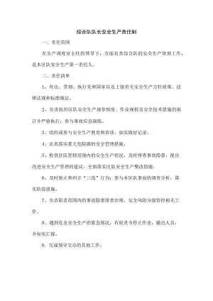 综合队队长安全生产责任制.docx