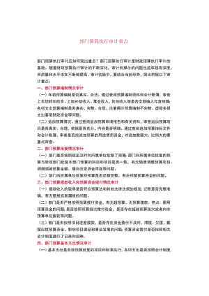 部门预算执行审计重点.docx
