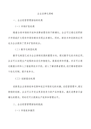 企业品牌化策略.docx