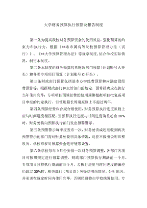 大学财务预算执行预警及报告制度.docx