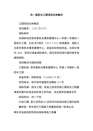负一层防水工程项目总体概况.docx