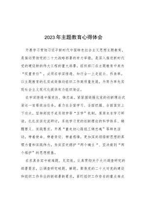 2023开展主题教育心得体会七篇.docx