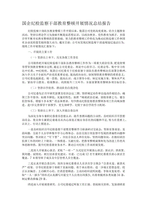 国企纪检监察干部教育整顿开展情况总结报告.docx