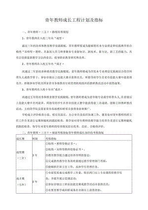 青年教师成长工程计划及指标.docx