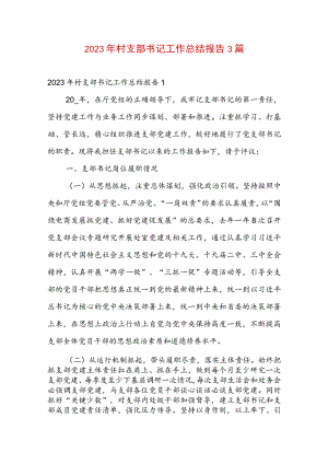 2023年村支部书记工作总结报告3篇.docx