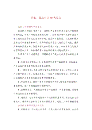 采购、付款审计10大要点.docx