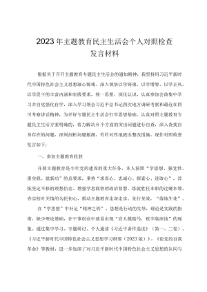 2023年党员干部主题教育民主生活会个人对照检查发言材料（参考范文）.docx