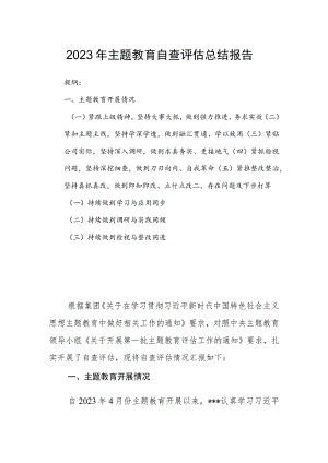 2023年主题教育自查评估总结报告.docx