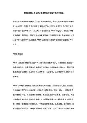2023急性心梗合并心原性休克的诊治专家共识要点.docx