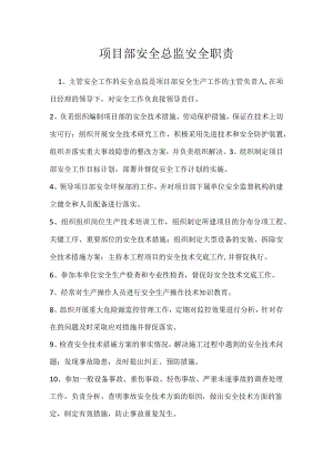 项目部安全总监安全职责模板范本.docx