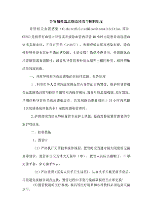 导管相关血流感染预防与控制制度.docx