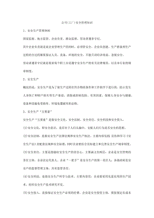 公司（工厂）安全管理知识.docx