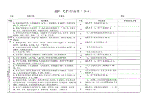 基护危护评分标准.docx