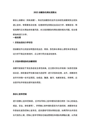 2023房颤急性期处理要点.docx