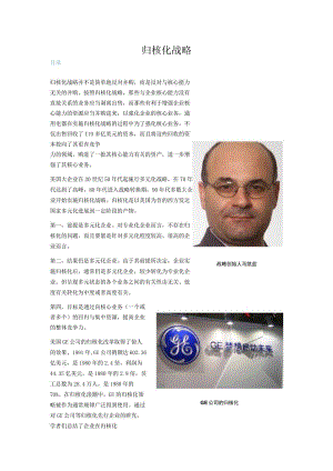 归核化战略.docx