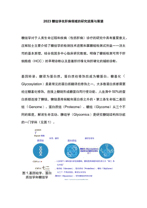 2023糖组学在肝病领域的研究进展与展望.docx