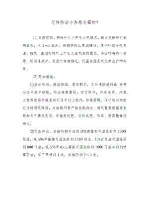 怎样防治小香葱灰霉病.docx