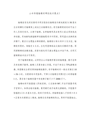 山羊养殖输精有哪些技术要点？.docx