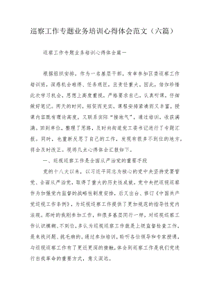 巡察工作专题业务培训心得体会范文（六篇）.docx