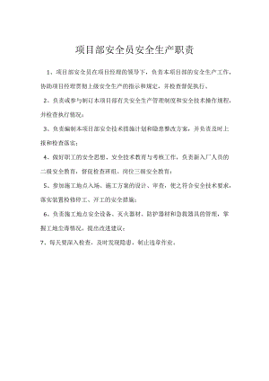 项目部安全员安全生产职责模板范本.docx