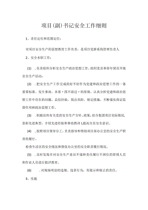 项目（副）书记安全工作细则模板范本.docx
