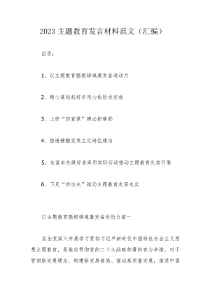 2023主题教育发言材料范文（汇编）.docx