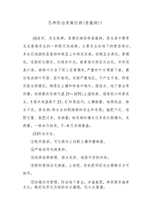 怎样防治姜腐烂病（姜瘟病）.docx