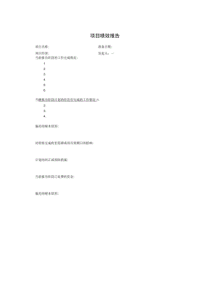 项目绩效报告.docx