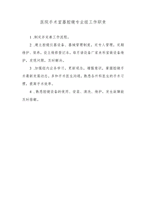 医院手术室器腔镜专业组工作职责.docx