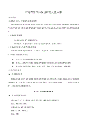 有毒有害气体现场应急处置方案.docx