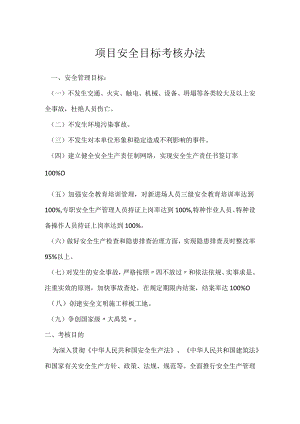 项目安全目标考核办法模板范本.docx