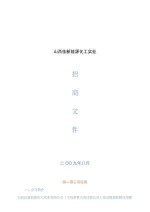 山西佳新能源化工实业.docx