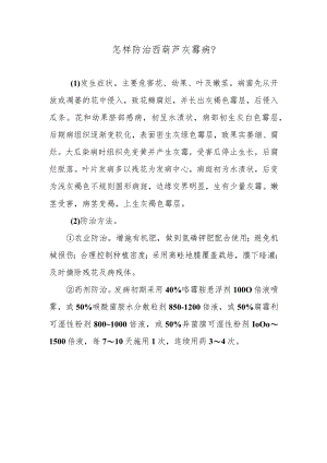 怎样防治西葫芦灰霉病.docx