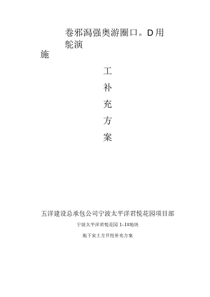 补充方案范文.docx