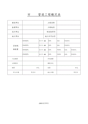 模板-市管道工程概况表.docx