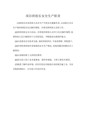 项目班组长安全生产职责模板范本.docx
