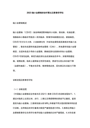 2023脑小血管病的诊疗要点及影像学评估.docx