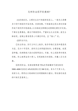 怎样防治西芹软腐病.docx