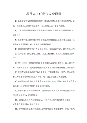 项目办主任岗位安全职责模板范本.docx