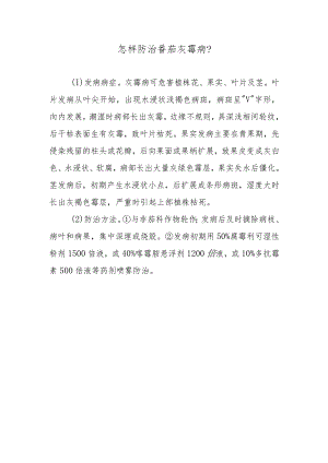 怎样防治番茄灰霉病.docx