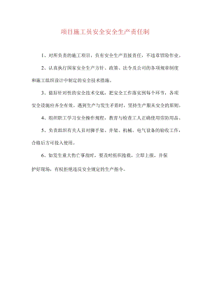 项目施工员安全安全生产责任制.docx